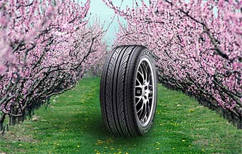 Kumho Ecsta DX.  Lenta.Ru