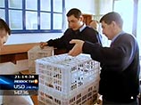 Пернатых изъяли и разместили на таможенном складе