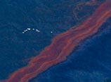   ,        Deepwater Horizon   ,        