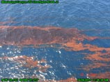  BP       22   36- ,     