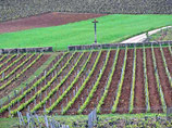 ,      Roman&#233;e-Conti,         4,5 