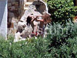    2009               