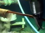  BP           