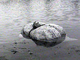      24- -  ,     ,   
