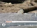 Массовое отравление водой из-под крана на Украине Массовое отравление водой из-под крана на Украине