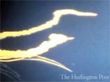 ,          The Huffington Post,        ,    ,  