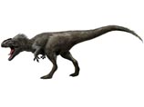   Yutyrannus huali   ,   ""      ,    .