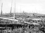   ,        ,      1908     