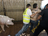 Femen  ,  ,   ,         