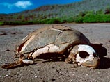         ,        ,   ,       Science Advances