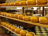 Несмотря на изменившийся образ жизни, жирные продукты, такие как сыр, продолжают вызывать аппетит и по этой причине