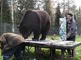 Начинающий художник из Финляндии уверенно заявил о себе в мире искусства, продав шесть дебютных работ по цене 300 долларов за каждую