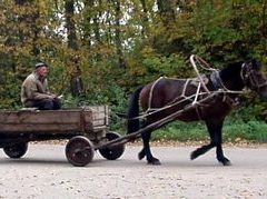 Фото Сергея Рубл ва, Lenta.Ru Фото Сергея Рубл ва, Lenta.Ru