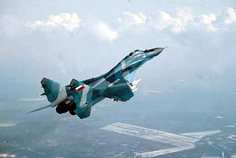 МиГ-29. Фото с сайта migavia.ru