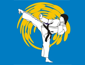    karate.iol.cz