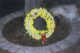    ,    http://www.maltavista.net