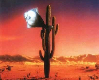     Arizona dream   sub.hanstyle.org