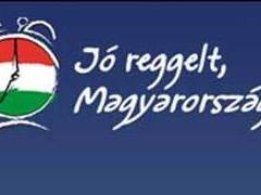 Символика венгерской оппозиции с сайта www.fidesz.hu Символика венгерской оппозиции с сайта www.fidesz.hu