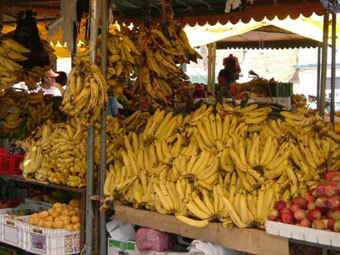  .    ecuador365.com