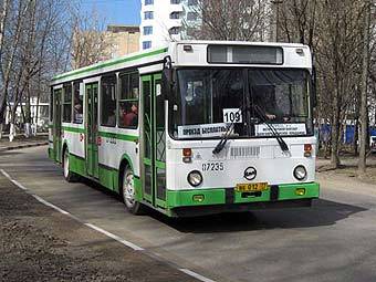  7- .    mosbus.ru 