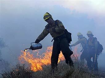    .  AFP