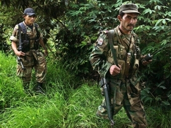 FARC.  AFP