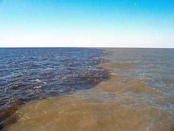 Мертвая зона в районе устья Миссисипи. Фото NASA/2004 Мертвая зона в районе устья Миссисипи. Фото NASA/2004