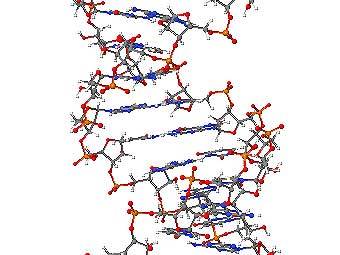   .   Narayanese   wikipedia.org