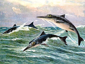    .   TomCatX   wikipedia.org