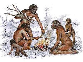   Homo erectus,  .    hominid.renecanales.com