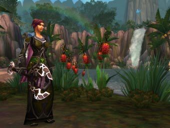  World of Warcraft: Wrath of the Lich King