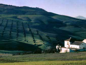    .  Mick Stephenson   wikipedia.org