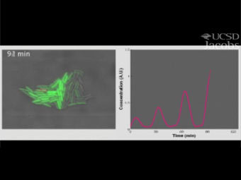  -    ,      .  -      .     . 