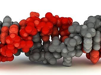    .    visualscience.ru