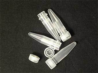   .   Zephyris   wikipedia.com