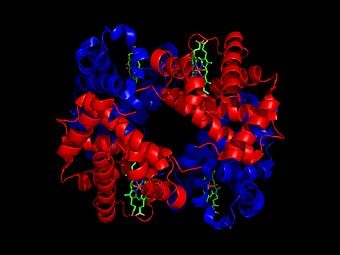  .  PatriciaR   wikipedia.org