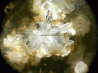  ,     ,       .  Hexiong Yang