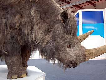   .    mammothivory.info