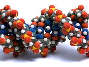  .    visualscience.ru