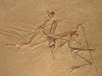   ,  .   Luidger   wikipedia.org