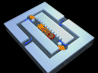     .       .  Sabri Rahmouni ( ).