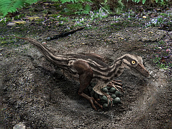   Troodon  .    frankdenota.blackhydra.com