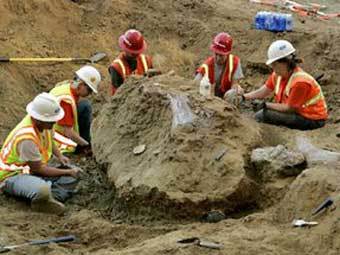     -.  signonsandiego.com