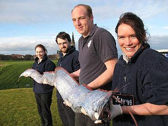  Blue Reef Aquarium    .