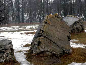  "".   Varga Attila   wikipedia.org