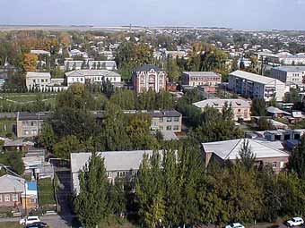    .    altairegion22.ru