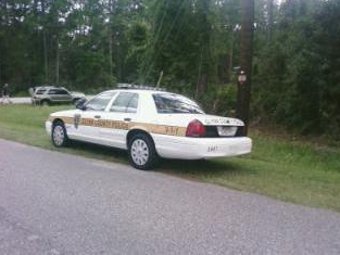  First Coast News   
