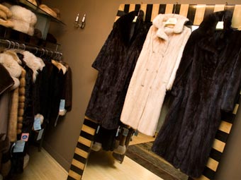  .    steryosfurs.com