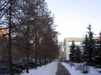 .    dubna.ru 