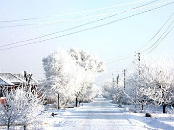   .    bataysk-gorod.ru